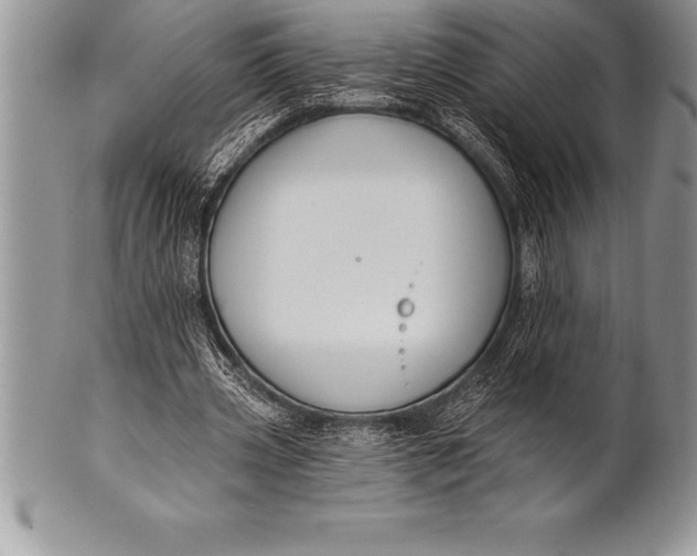 X0000100410533200806201801