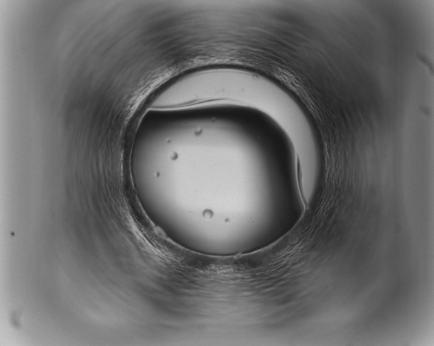 X0000100410534200806201801