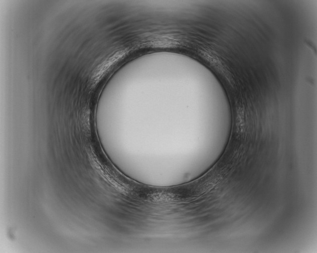 X0000100410535200806201801