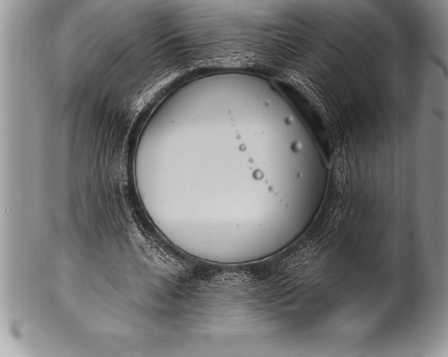 X0000100410536200806201801