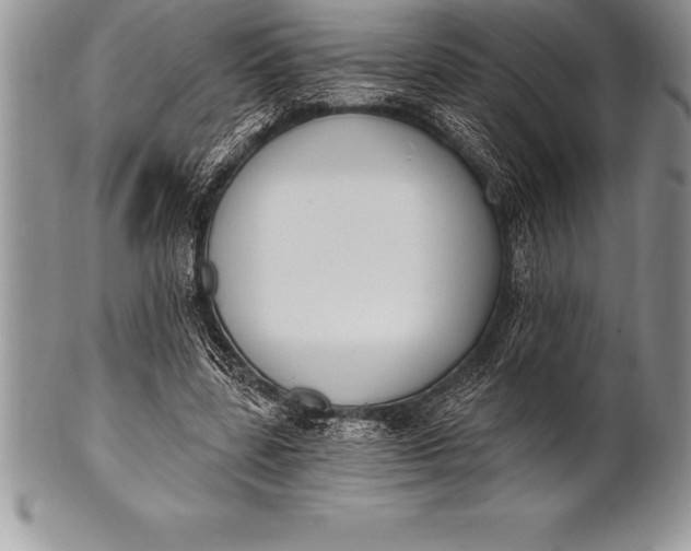 X0000100410539200806201801