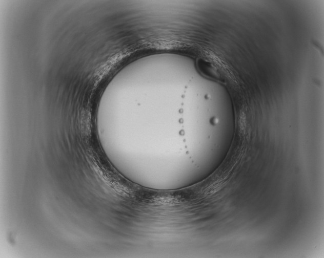 X0000100410540200806201801