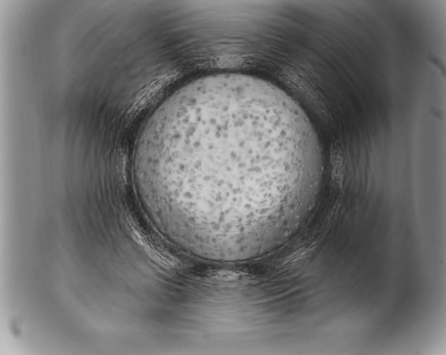 X0000100410542200806201801