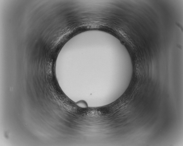 X0000100410543200806201801