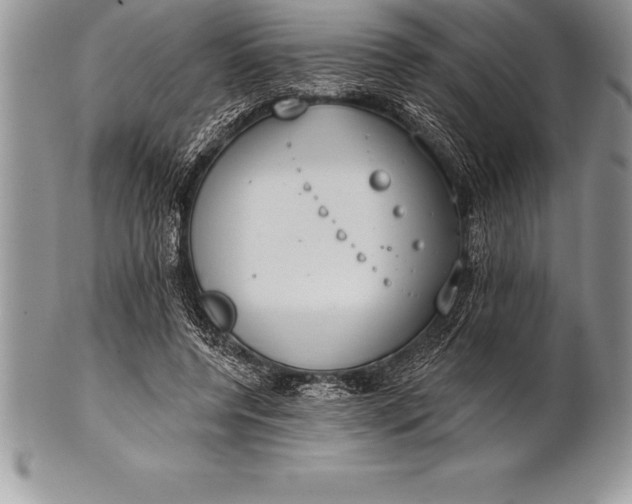 X0000100410544200806201801