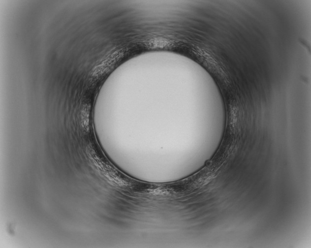 X0000100410545200806201801