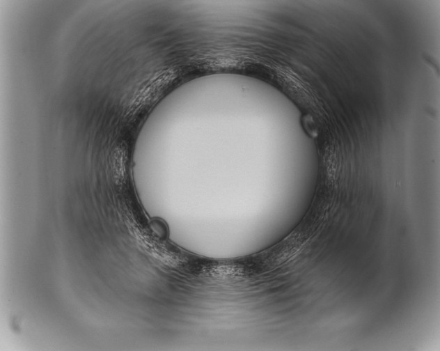 X0000100410546200806201801