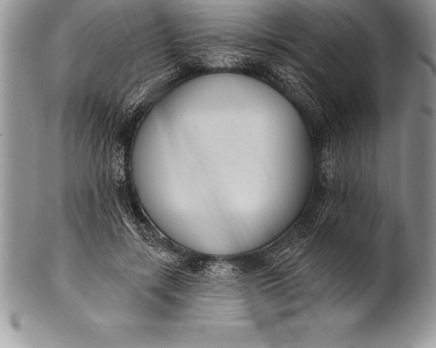 X0000100410547200806201801