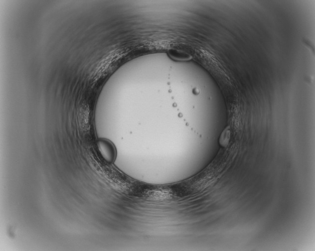 X0000100410548200806201801