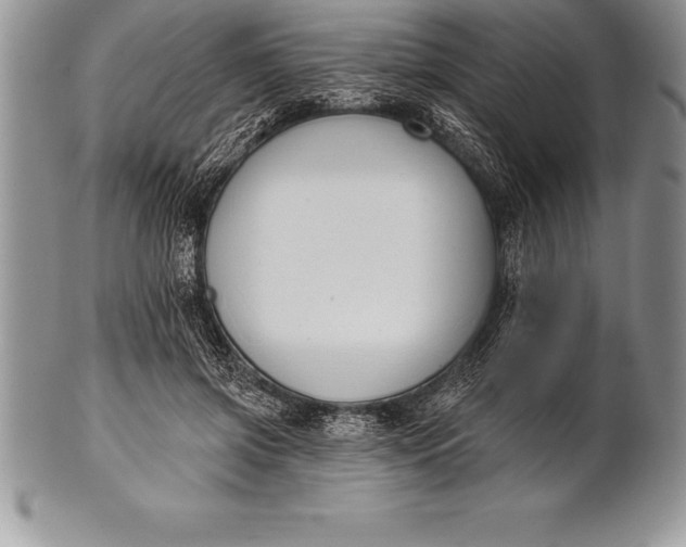 X0000100410549200806201801