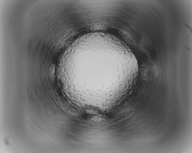 X0000100410550200806201801