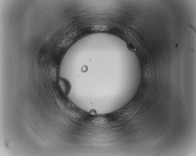 X0000100410551200806201801