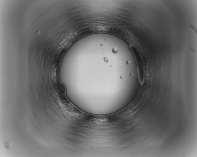 X0000100410552200806201801