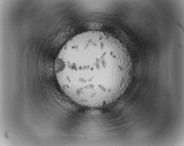 X0000100410553200806201801