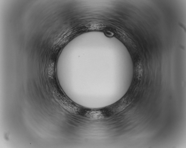 X0000100410554200806201801