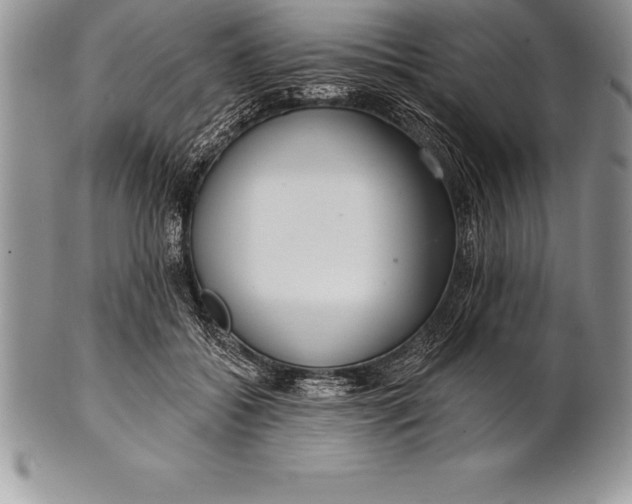 X0000100410556200806201802