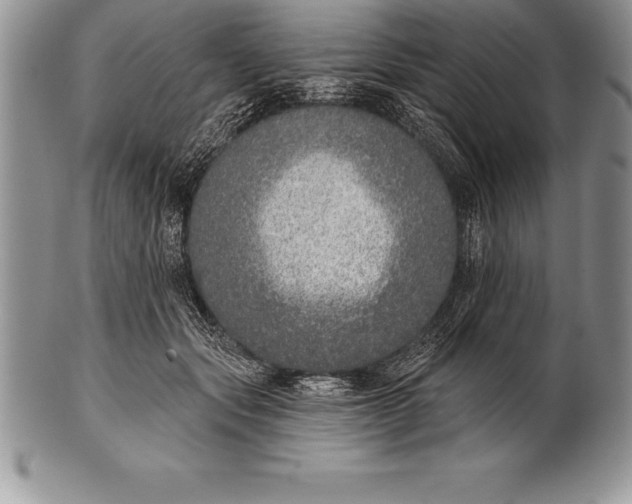 X0000100410557200806201802