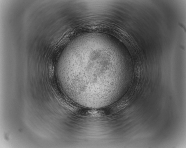 X0000100410558200806201802