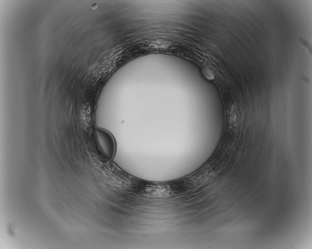 X0000100410559200806201802