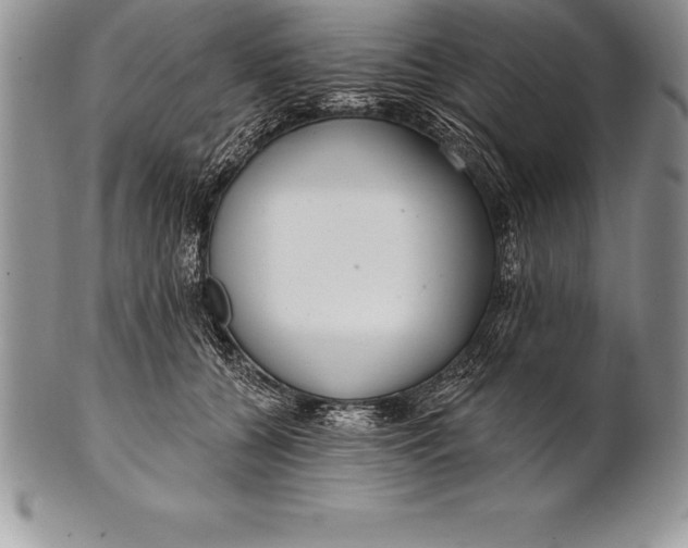 X0000100410560200806201802