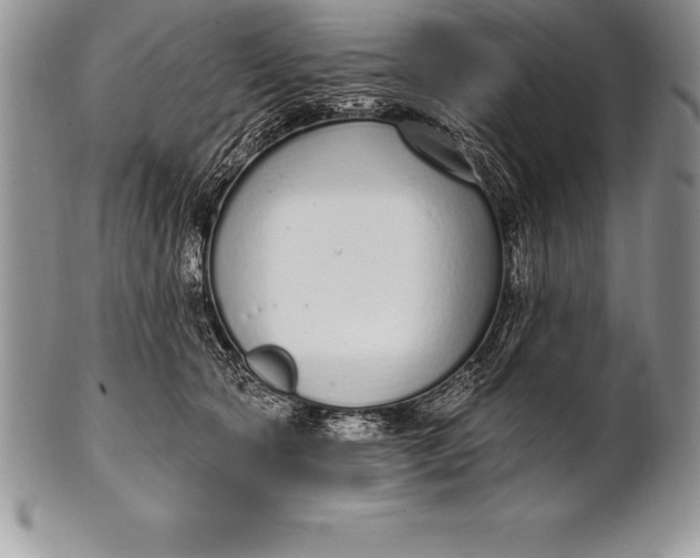 X0000100410561200806201802