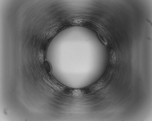 X0000100410562200806201802