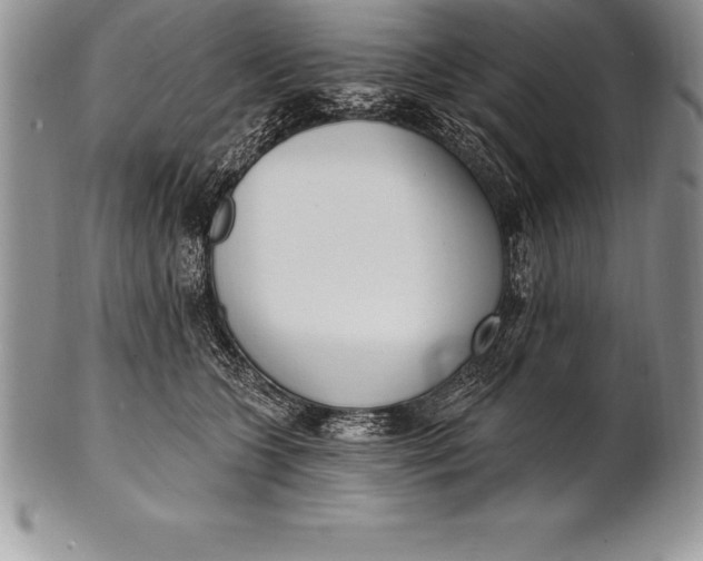 X0000100410563200806201802