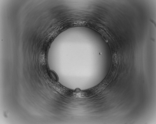 X0000100410564200806201802