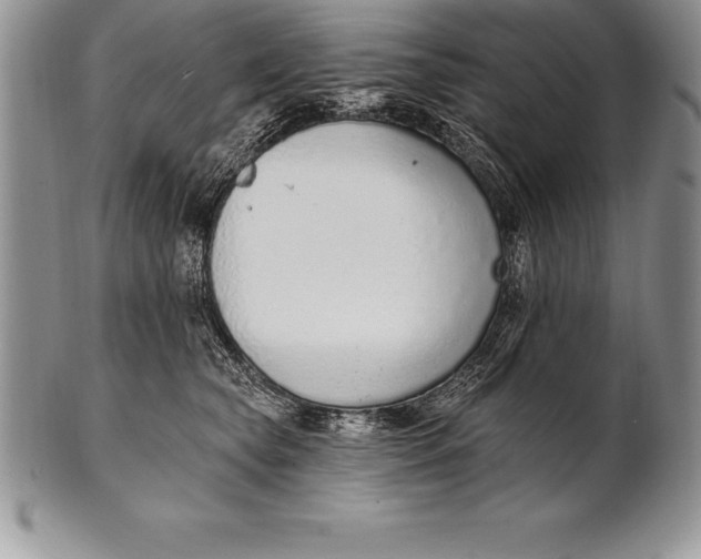 X0000100410565200806201802