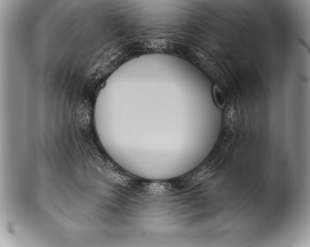 X0000100410566200806201802