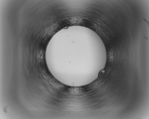 X0000100410567200806201802