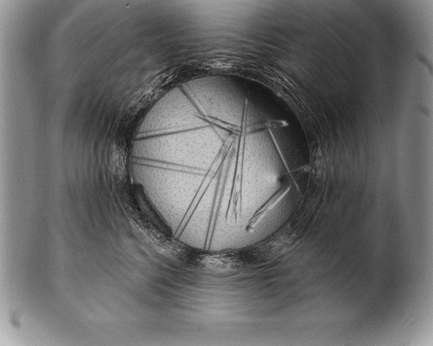 X0000100410568200806201802