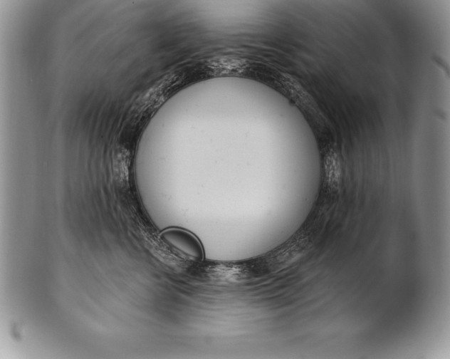 X0000100410570200806201802