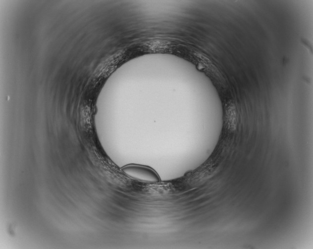 X0000100410571200806201802