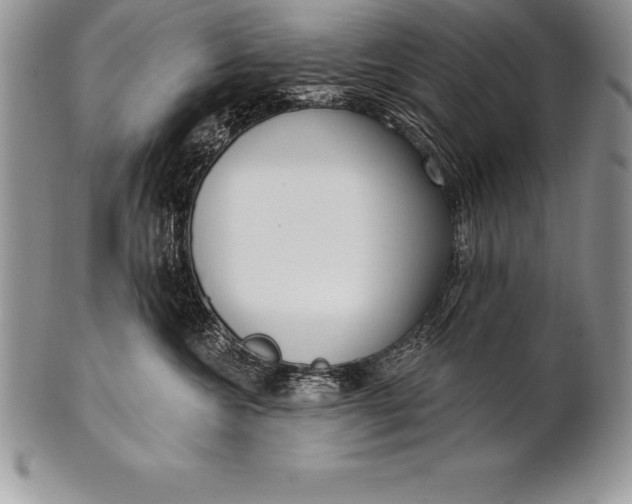 X0000100410572200806201802