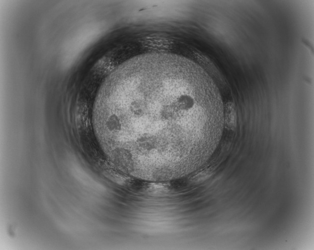 X0000100410573200806201802