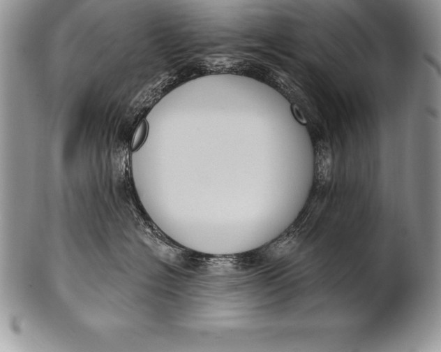 X0000100410574200806201802