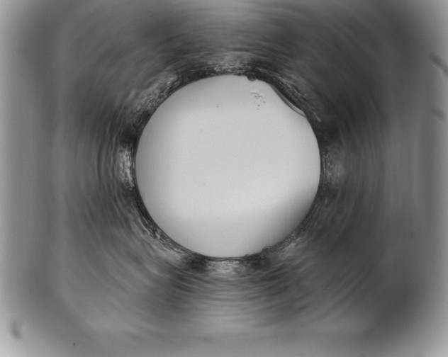 X0000100410575200806201802