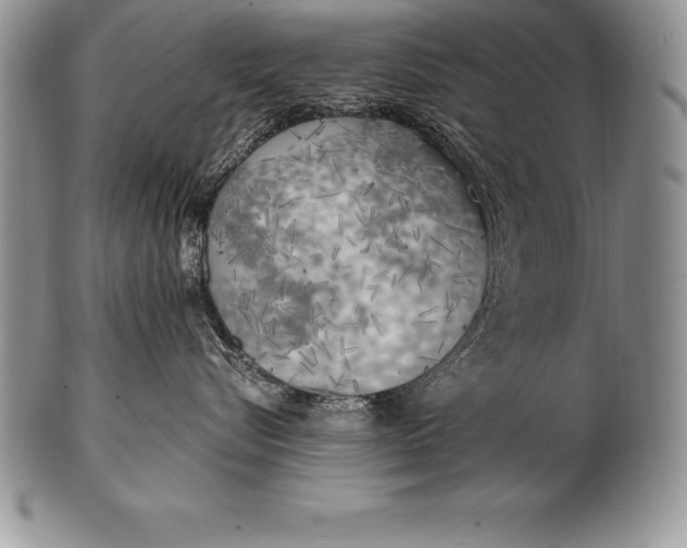 X0000100410576200806201802