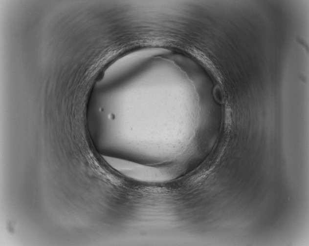 X0000100410577200806201801