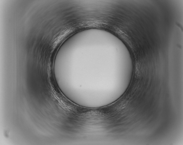 X0000100410578200806201801