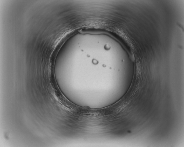 X0000100410580200806201801