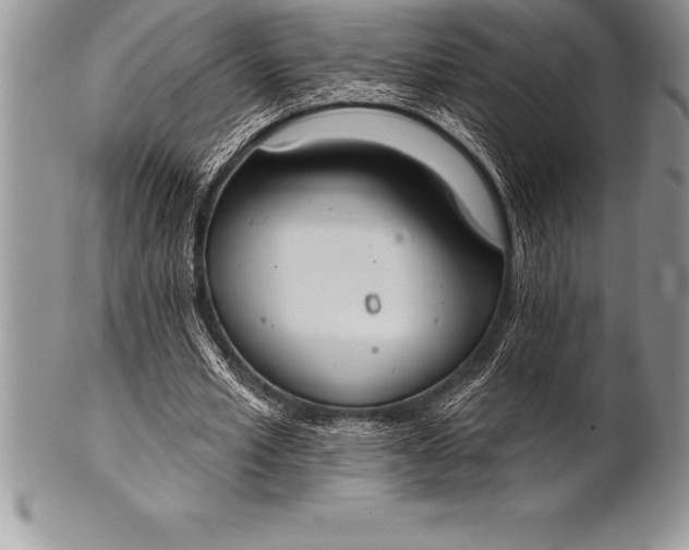 X0000100410581200806201801