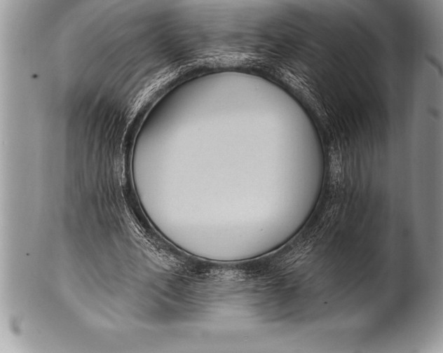 X0000100410582200806201801