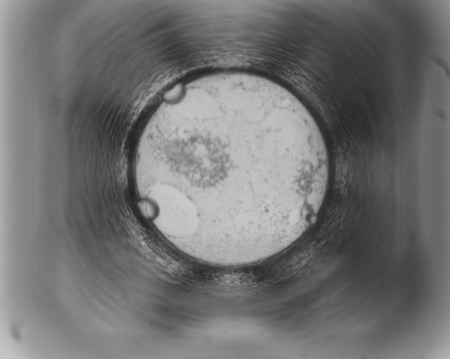 X0000100410584200806201801