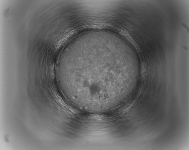 X0000100410585200806201801