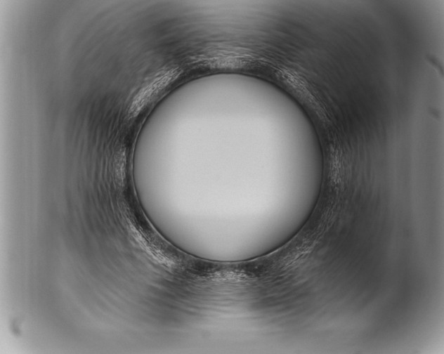 X0000100410586200806201801