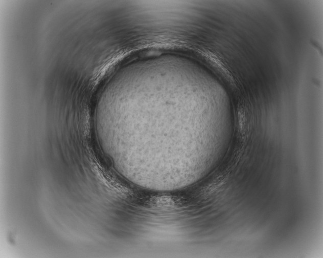 X0000100410588200806201801