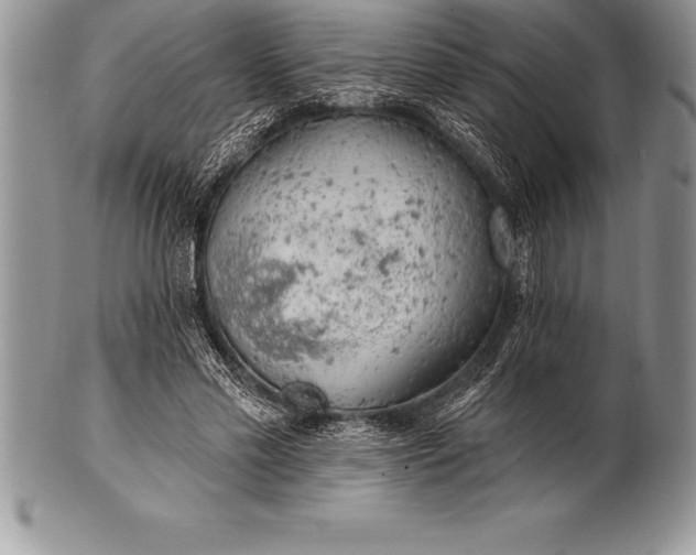 X0000100410589200806201801