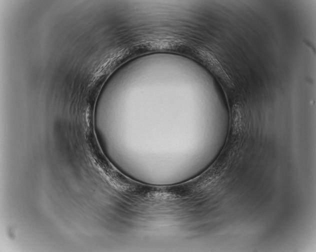 X0000100410590200806201801